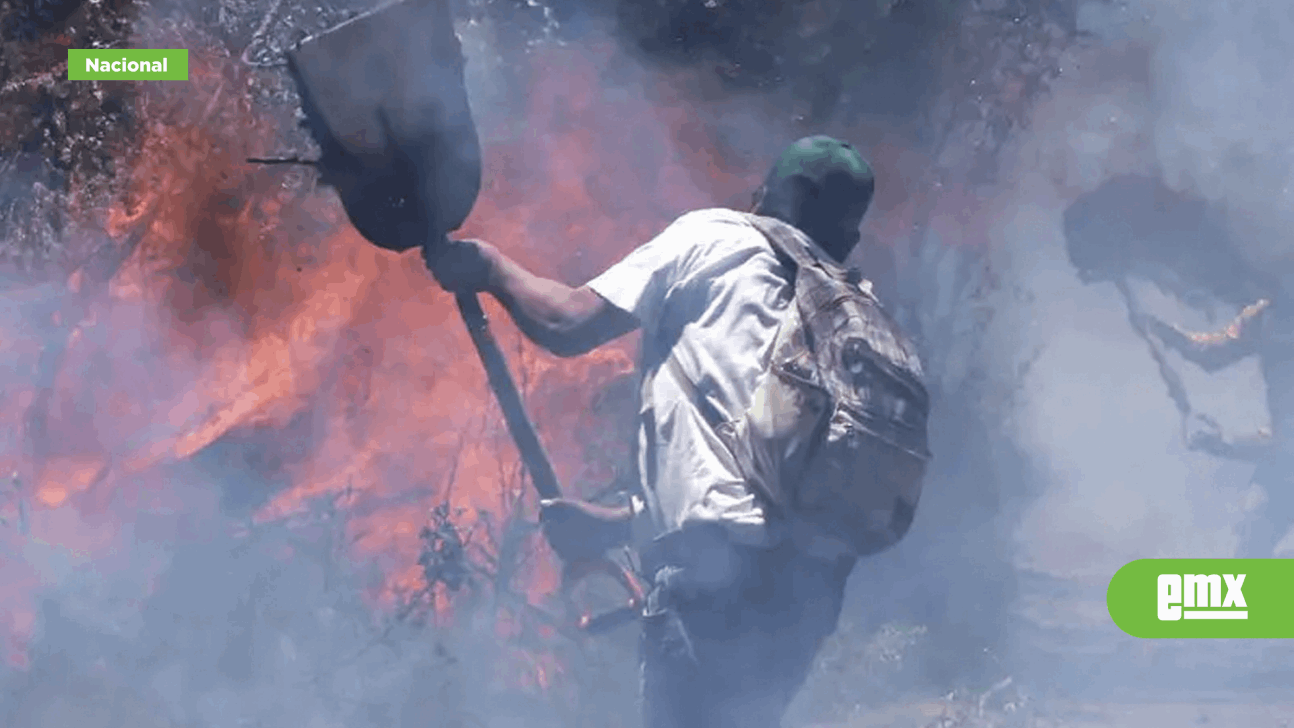 EMX-Se registran 104 incendios forestales en México; Guerrero arde con 19 siniestros