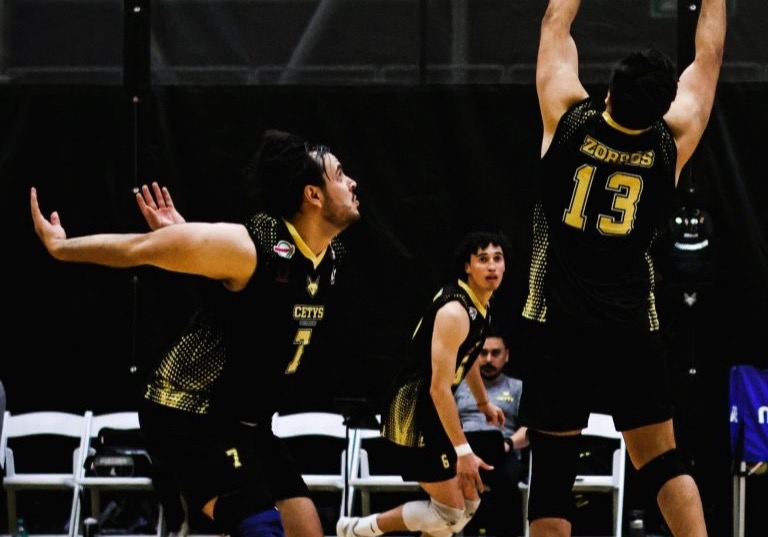 01036958-8938-4adf-b218-2be791b1d137