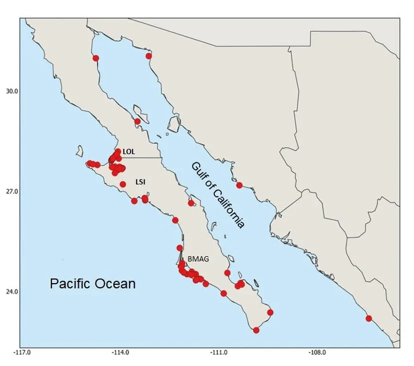 016c8b10-a003-421e-bac8-dc51309ec0d1