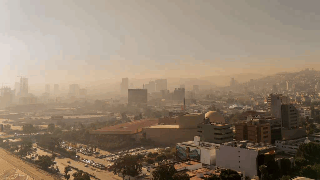 01d4f5ee-fcc5-4c2d-8aaf-31a840dfb2f8