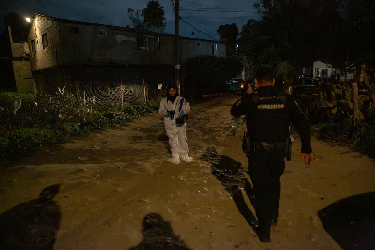 01e88735-eedb-430d-8689-cf5e8f84f177