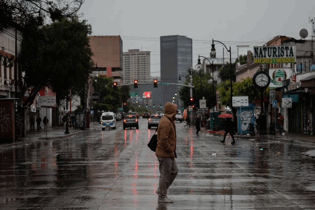 021e8ddd-233f-4e6a-aee0-09c9b3e48ac1