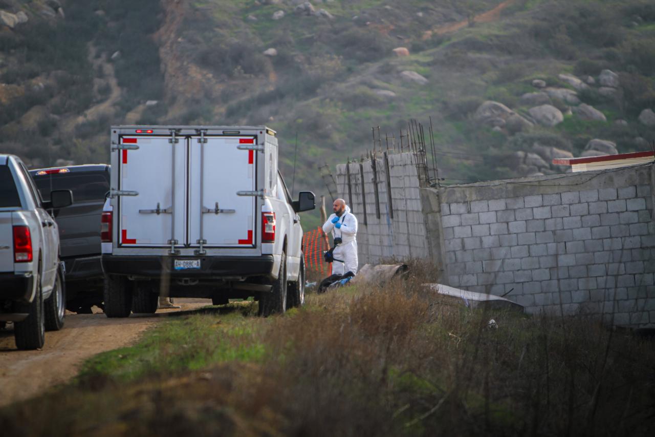 0454d873-6f61-4364-a476-71a10f9d2f9b