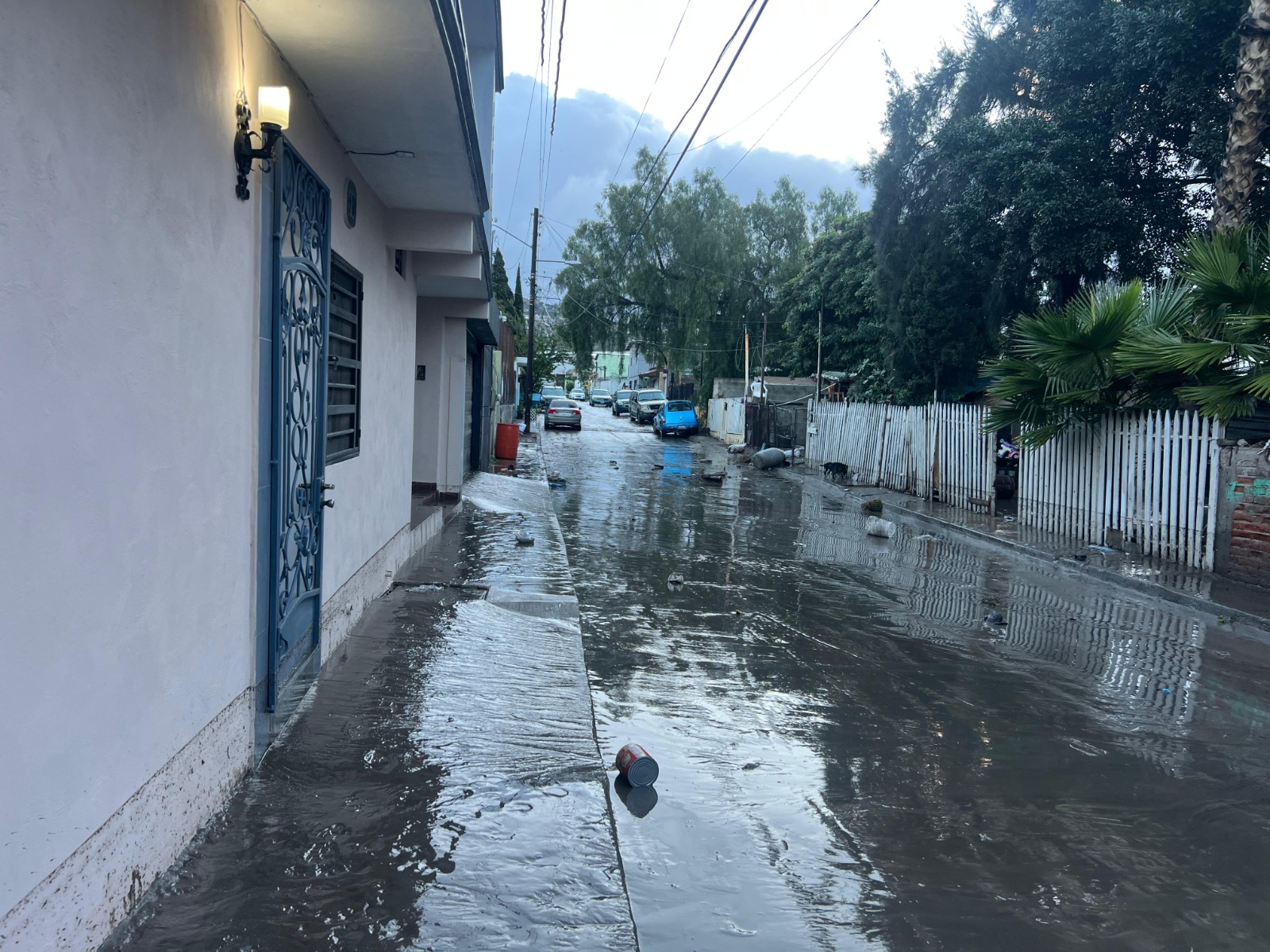 06f3c288-0a8f-4d2e-96e1-20d5d6c046cc