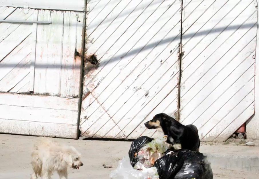 073d7fd2-ac97-4163-b667-a783f4d0b5bf