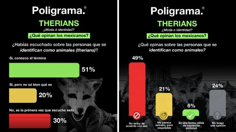 0741b688-bfc1-416f-8cbf-a9ca5b6e6b8c