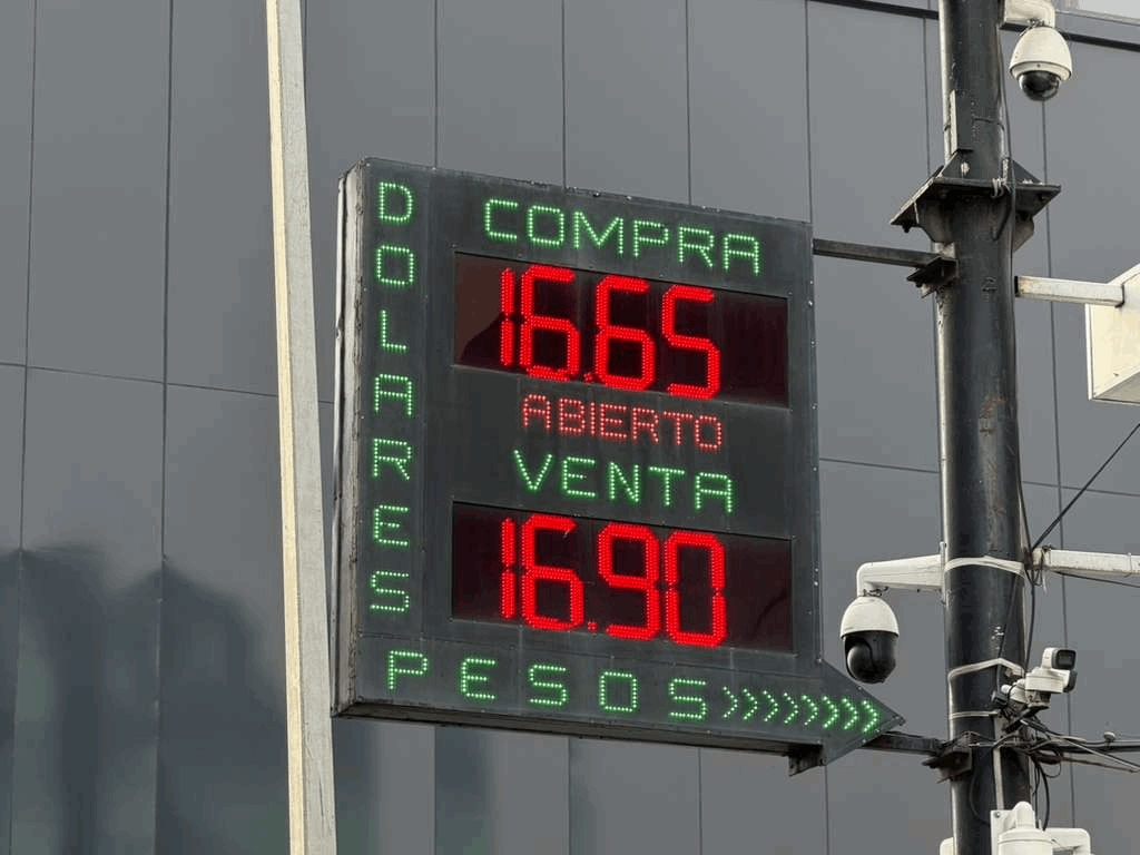 0969d308-6ffe-4d2d-b0c2-ca43835781d6