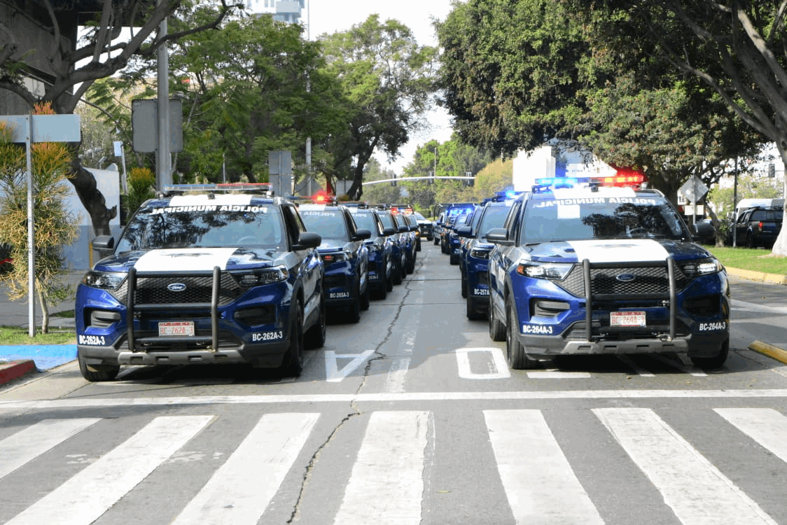 09f55d4b-2ead-4713-a978-1a260367e1ec