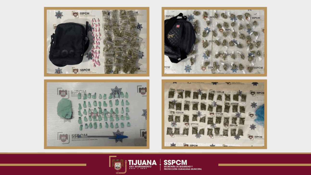 0a79eedf-55f2-4929-a629-fe1f124e6234