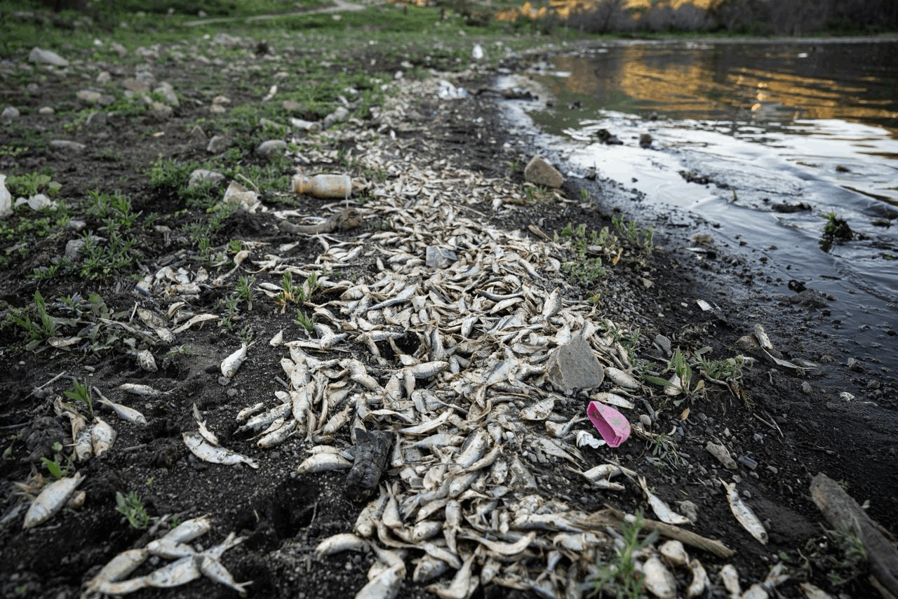 0b041aaf-ae48-4d7f-a82f-6e07f1c64db6