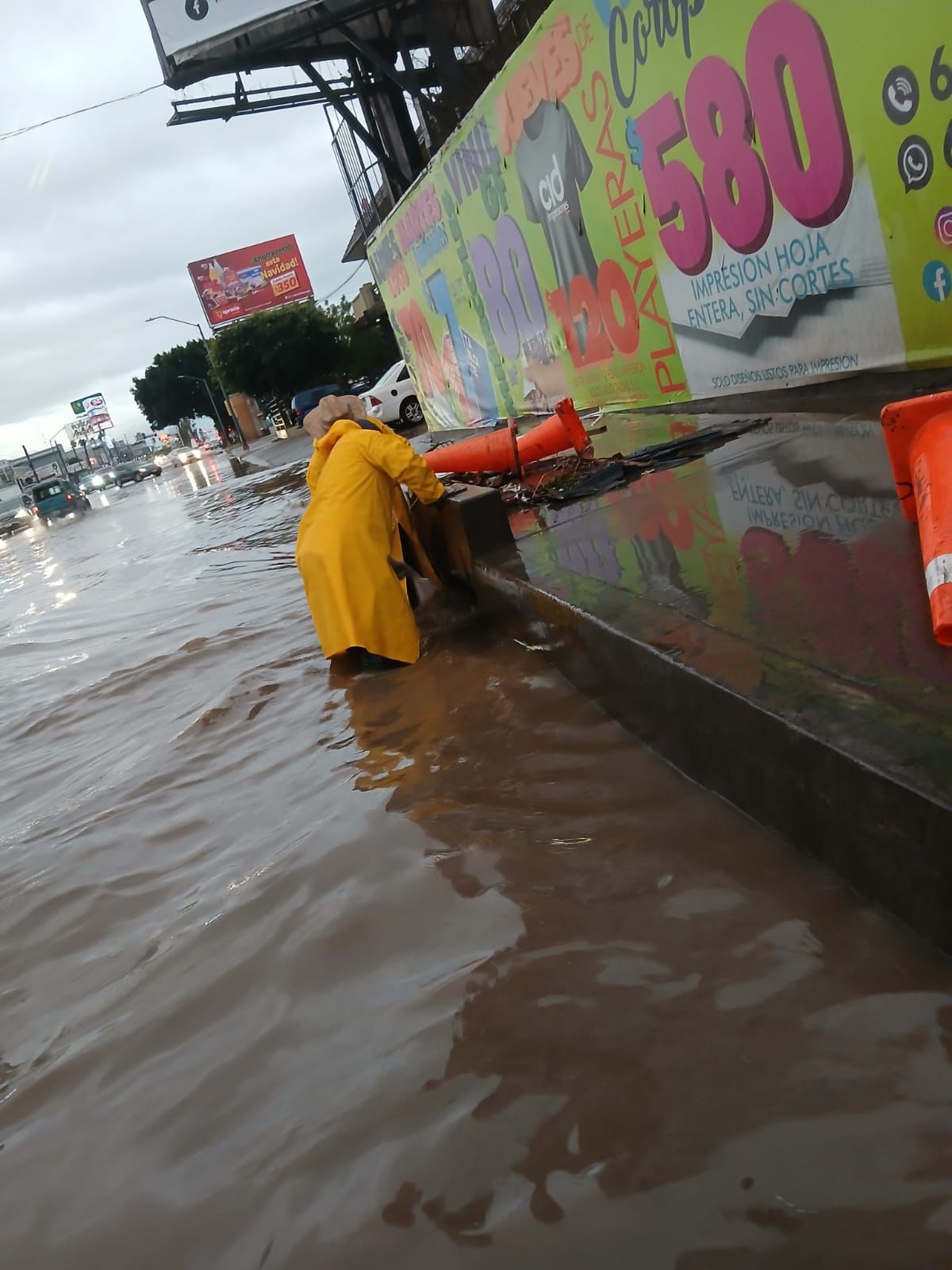 0eedcf53-1767-4c9e-9f9f-5aeedecc2301