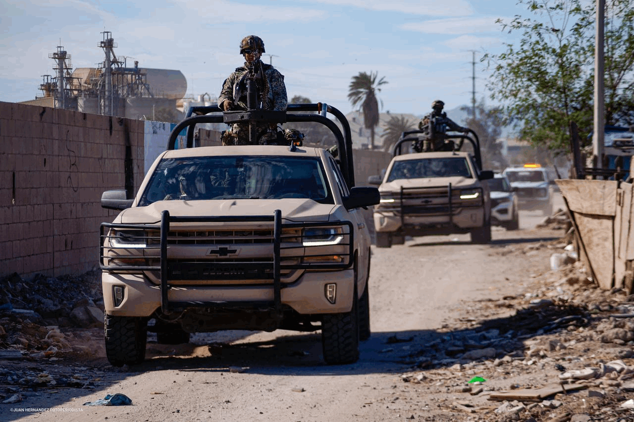 0f8ac219-18b8-4a01-8e1b-8cfb4f5150ac