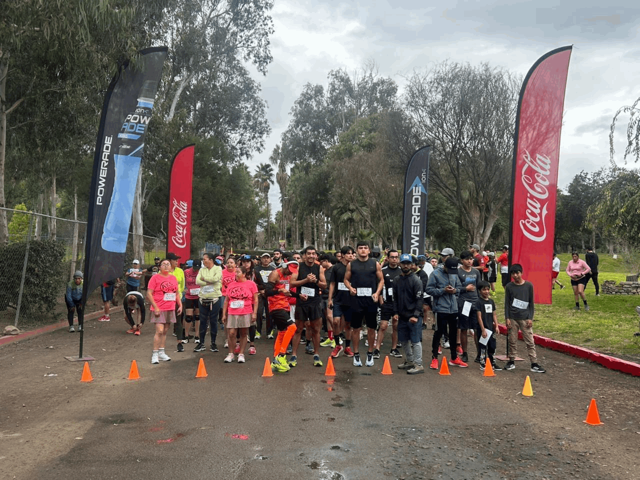 1187a4e3-3a51-4f90-ae2e-e63a83749c4d