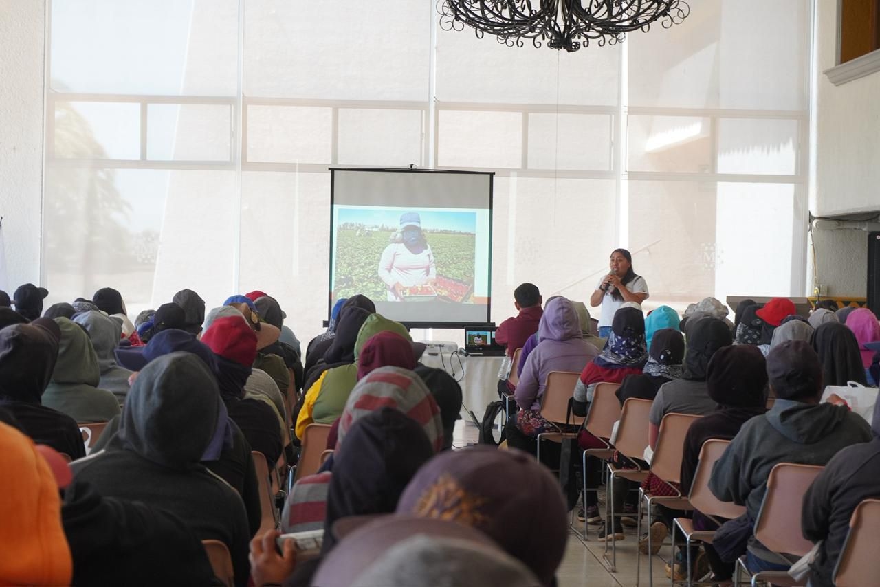 137bddc5-8c0a-4fc2-abb7-00b11306a0b9