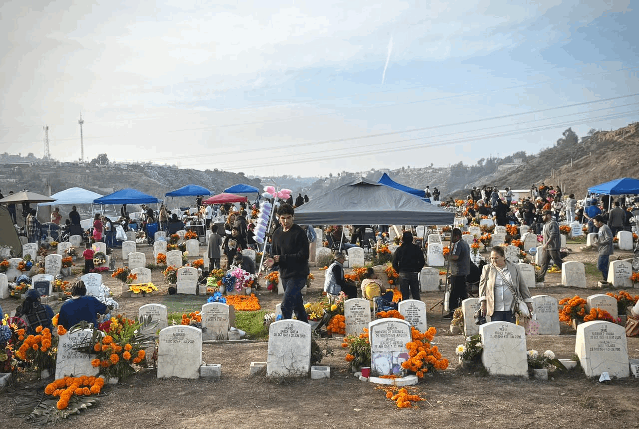 1401c11c-8b9a-4e16-9cc3-4bacf808569a