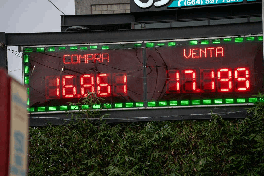 1633101a-b8fc-4855-956a-b1e225ec3cb5