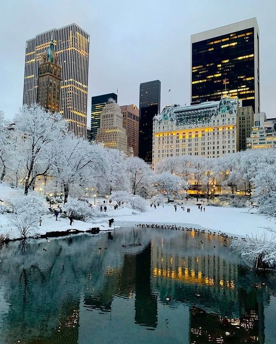 177b8688-b3ec-4f74-aaf5-45f6a8387ba6