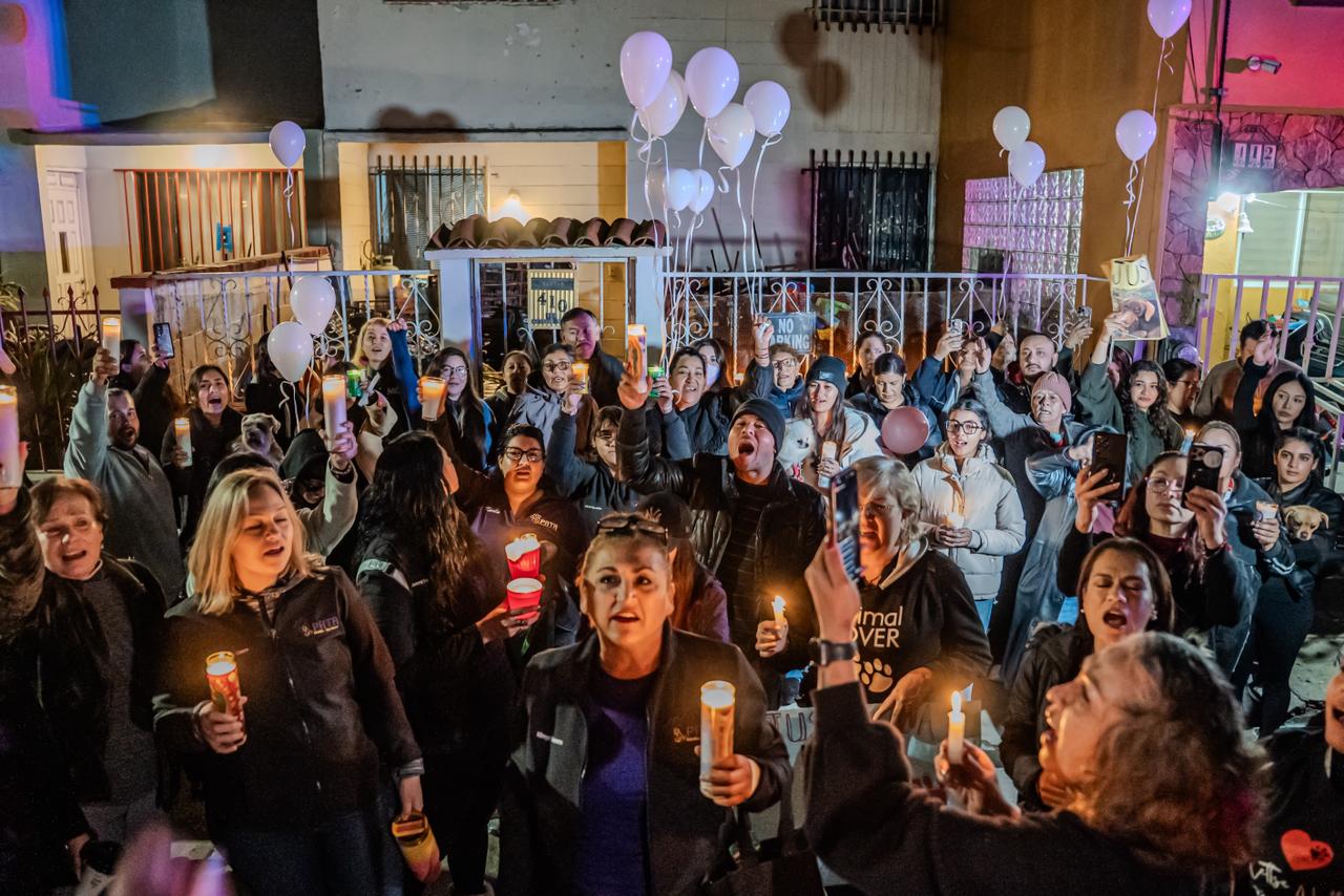 178d6e33-3d37-4ae9-afea-4631adf7cbea