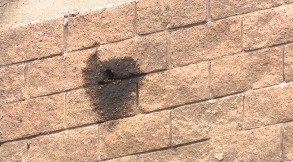 181a5a56-203e-4e16-86ab-f9c2bcc1f3e4