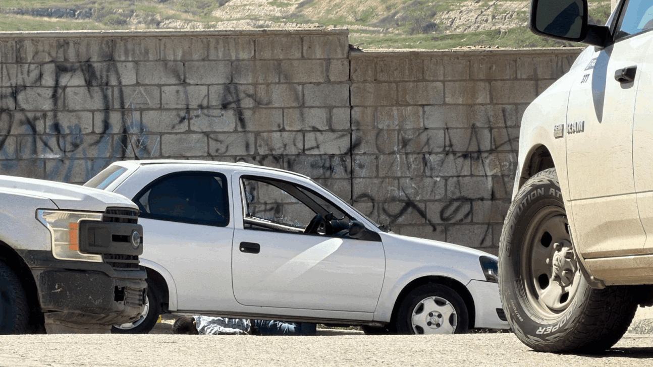 185ff177-8ada-4797-b536-48561ceb6260