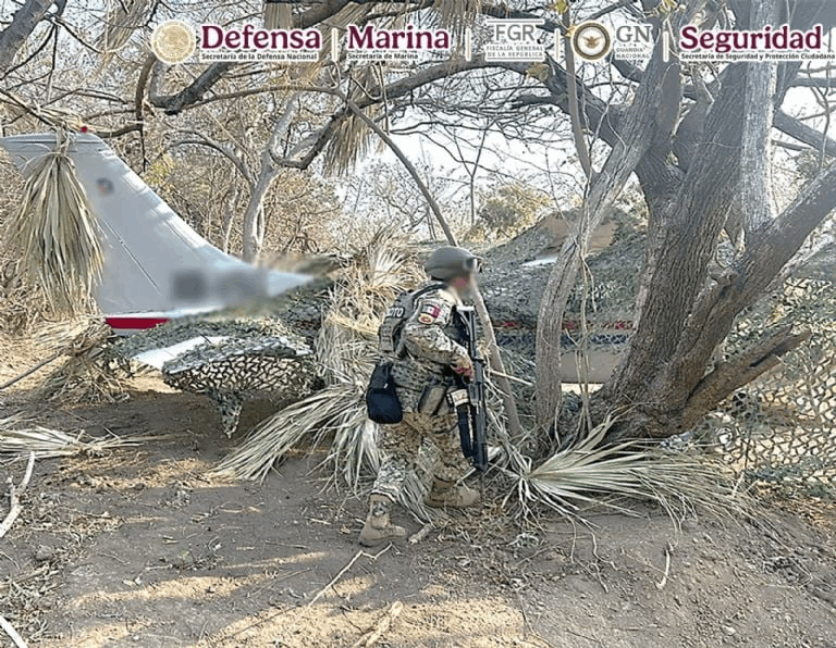 1889cfb9-f4ef-46af-bdd3-1f3d7e703a6f