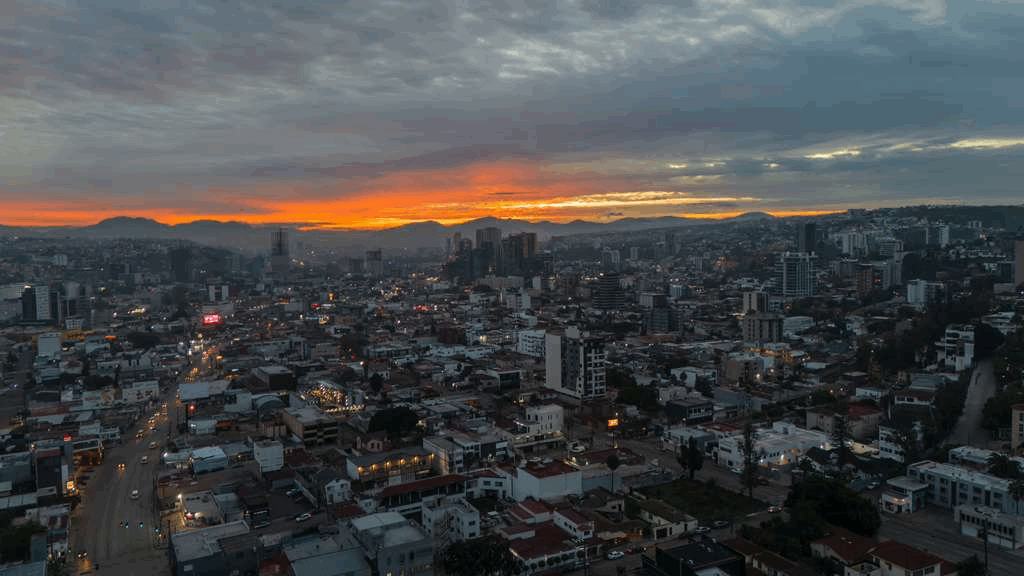 1a6ad3f7-6eef-4fde-9731-94819ed4a612