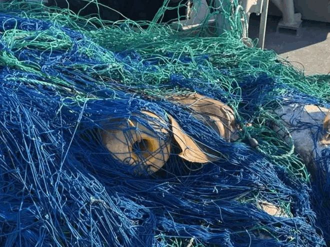 1a77971f-641a-447d-8dfb-3f45e68e3413