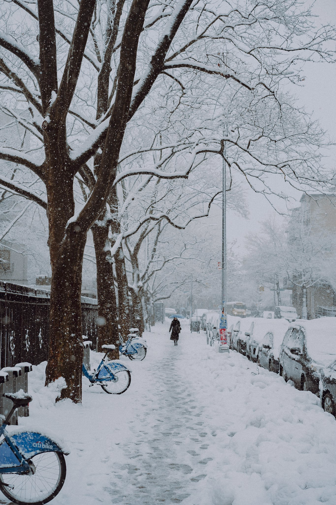 1aac0cb8-ff8c-4fc0-bb77-3ccac0942912