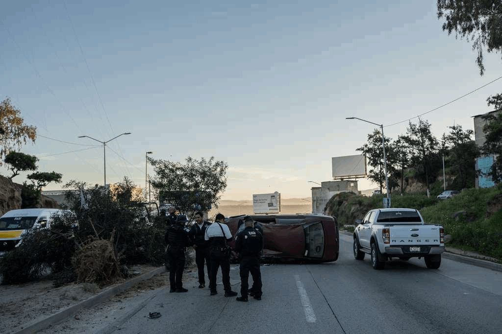 1ae12b08-277b-4132-95f0-3f5403e7cc35