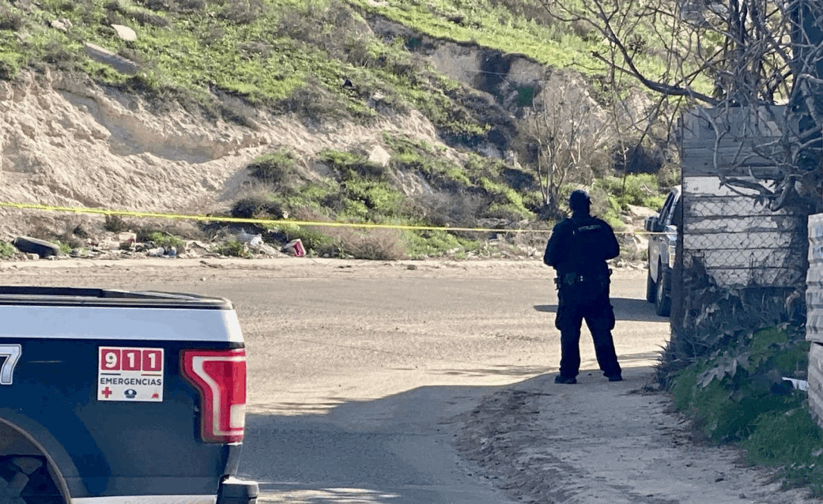 1b766256-af69-454e-a2bf-3e2ad8ac418d