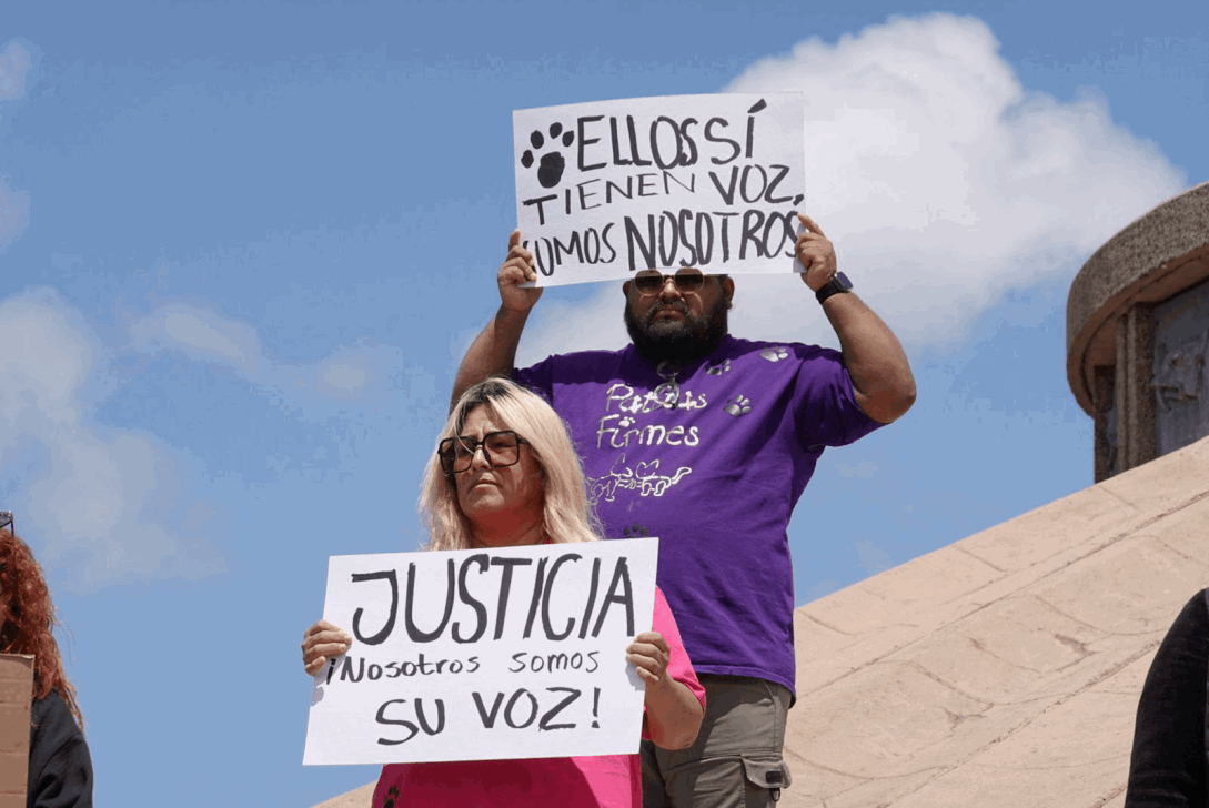 1c0d4c56-472b-47cc-b34a-5160b928eb8e