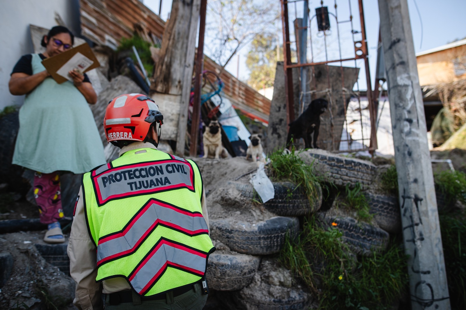 1c8b3532-3519-44a5-a3ed-08c4e00ce173