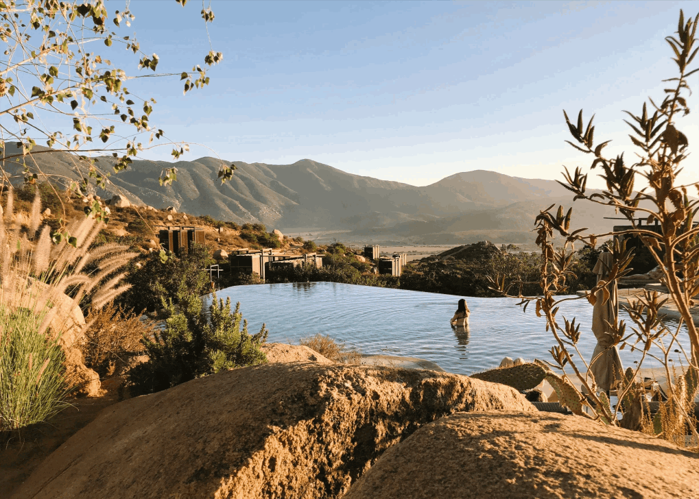 1d312f69-a537-45ec-923e-18ba73598a22