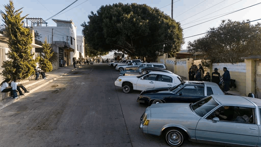 1dc108ea-e480-4584-b60a-3208a20ca1b6