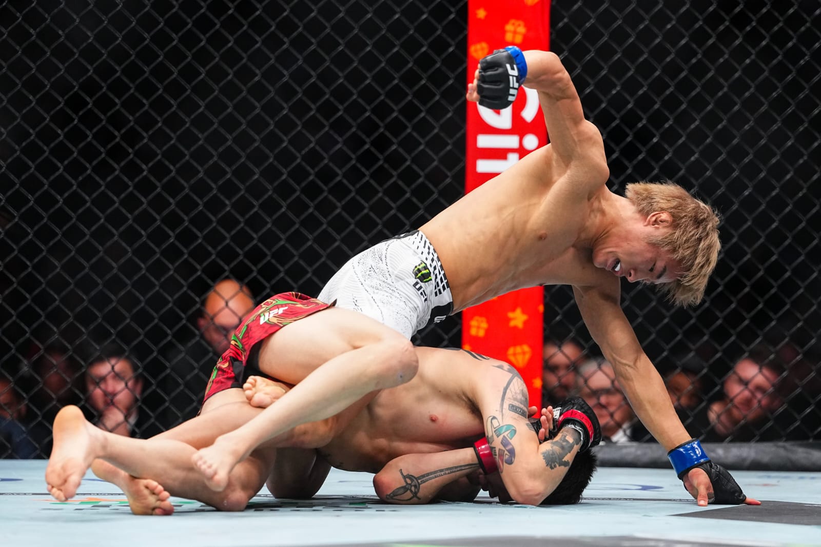 1df505fa-9e98-40ce-bd63-32b3be54638a