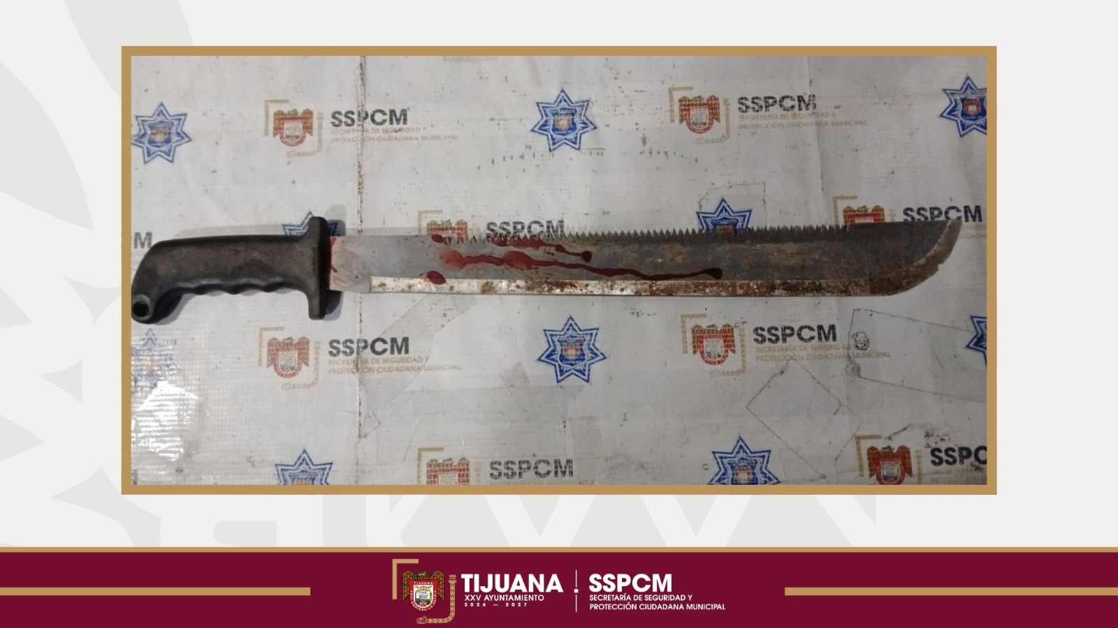 1eaf35bb-6e06-4845-bb70-f1e11ad615e0