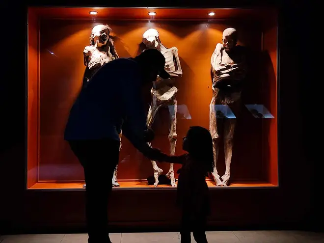 20672a70-9ef1-4f3e-ba7a-964425c2f749