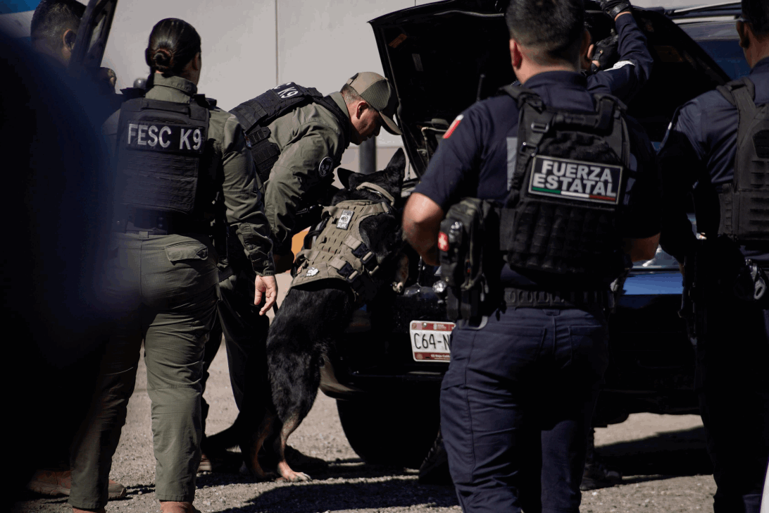 208d27ca-9537-485a-b561-e4b786708c8d