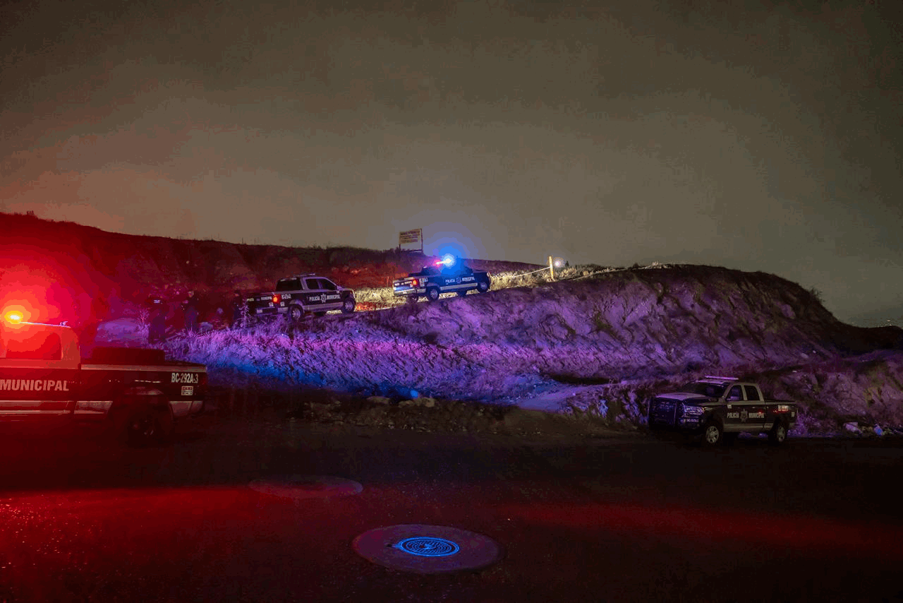 20d9a595-a7d2-46a3-8aa0-1e8f2068fdce