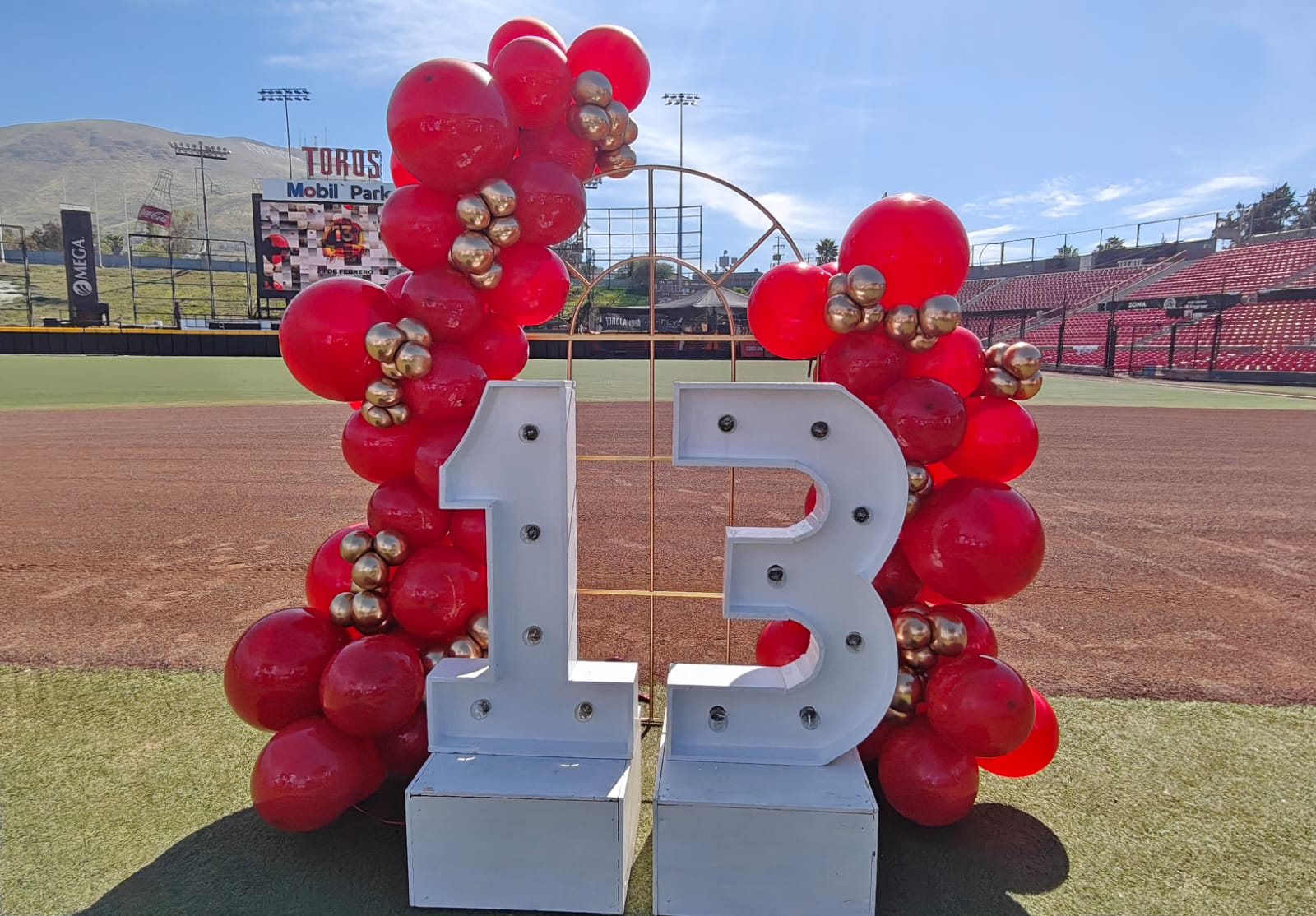 22985e02-62aa-47cc-a6d9-6aa385fa2fc7