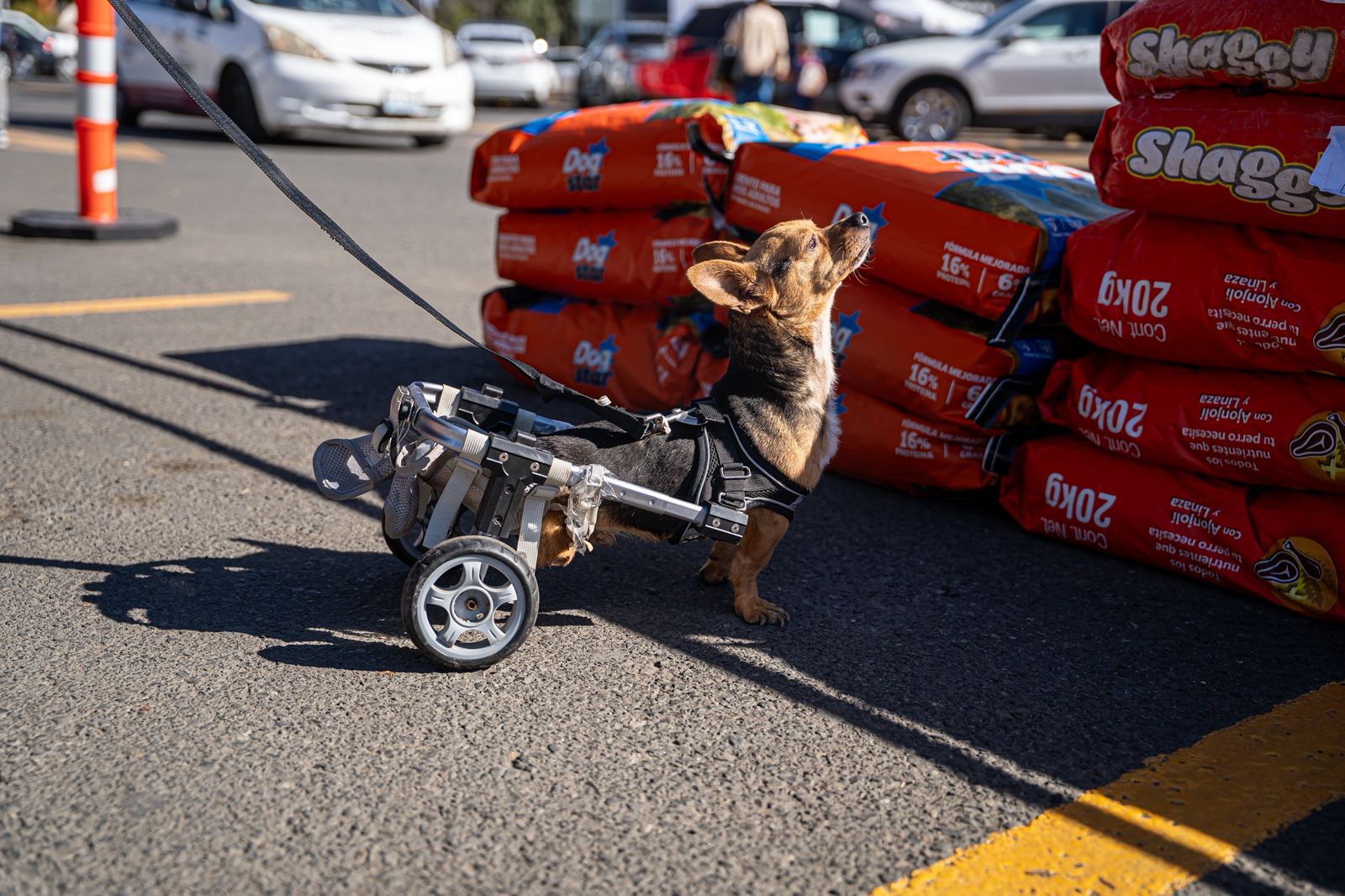 28dc679f-6fe7-4b2d-a00f-0969d823bd86