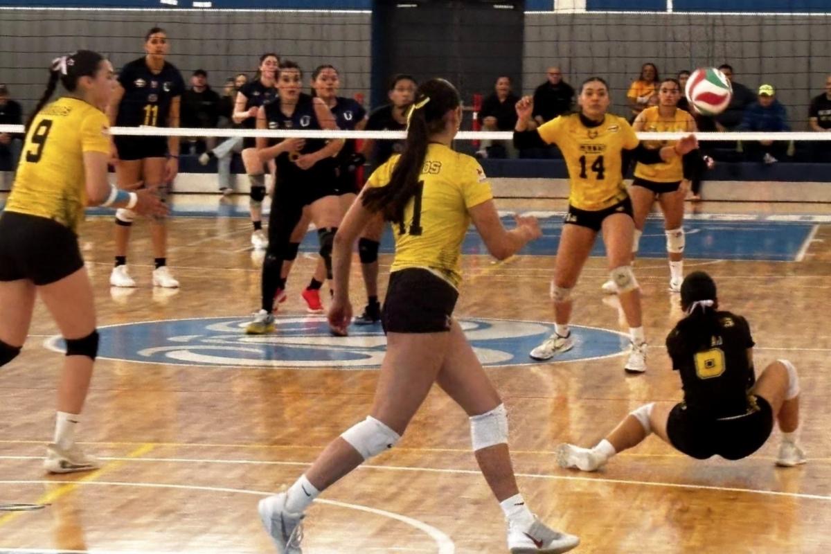 294fc152-2fe6-49ac-a2a6-76ec4071a267