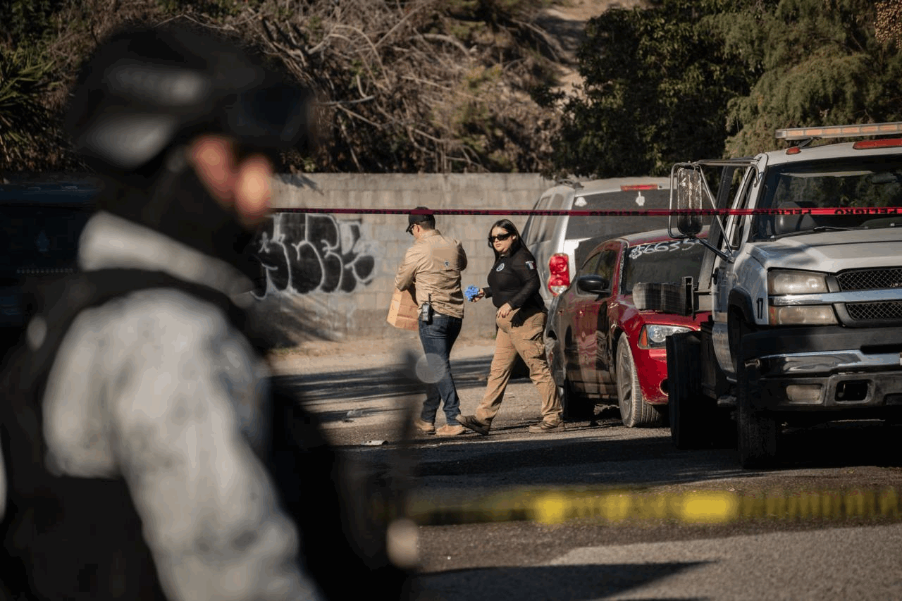 2a99c9da-28f0-48af-92db-48e8e32ad331