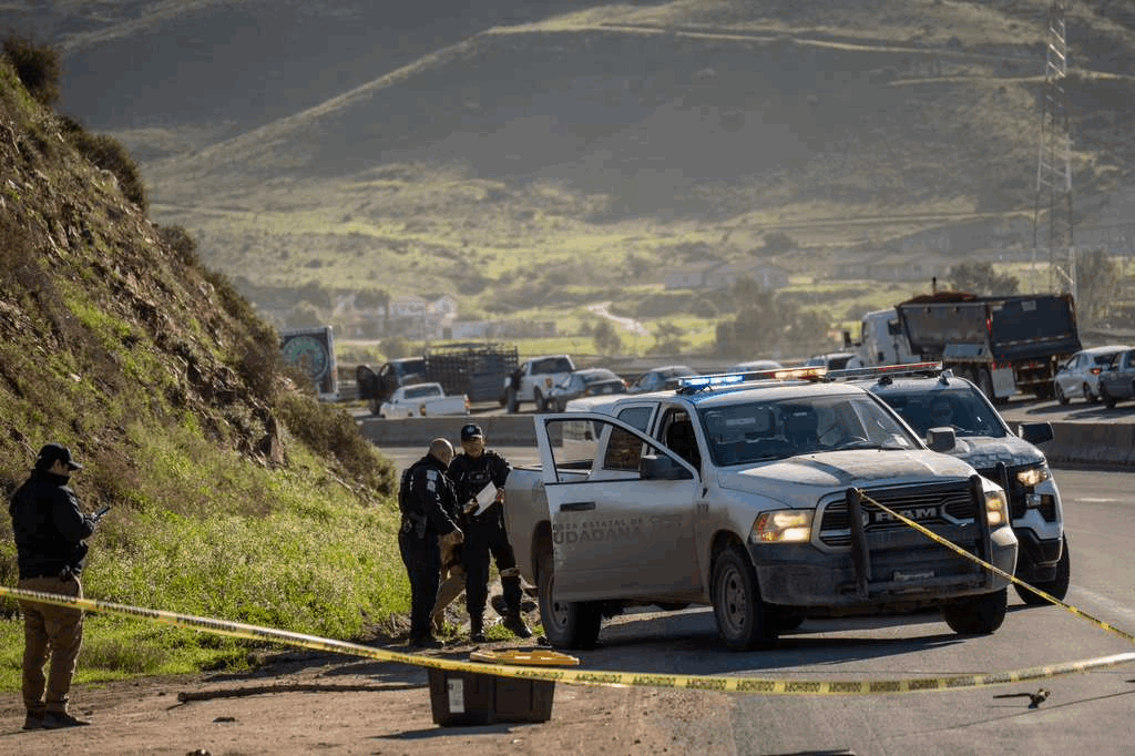 2ac161fe-6858-416f-9512-7dbacac0650f