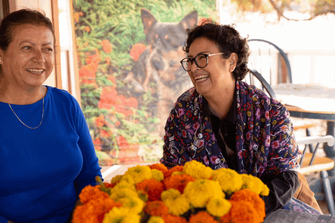 2c0d6cb5-b6c9-4d63-ad19-e347078bd1dd