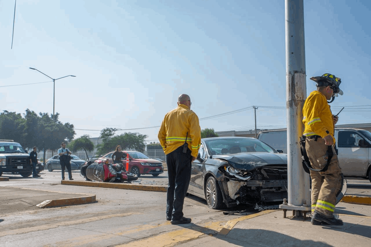 2c8cf3fc-c252-4584-bb6d-a499c1757646