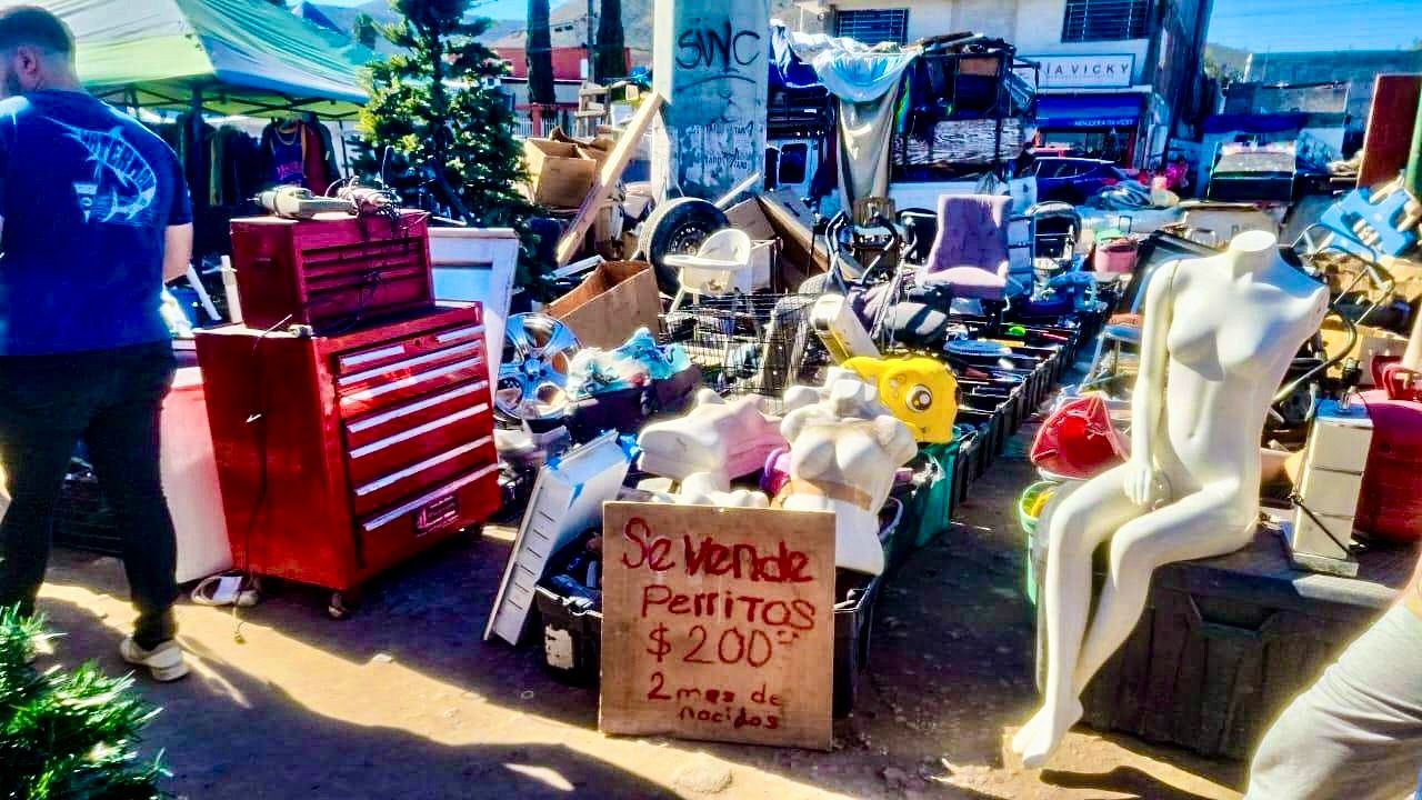 2c971b3d-7f3b-4687-8ef1-9cd2fb6dad1e