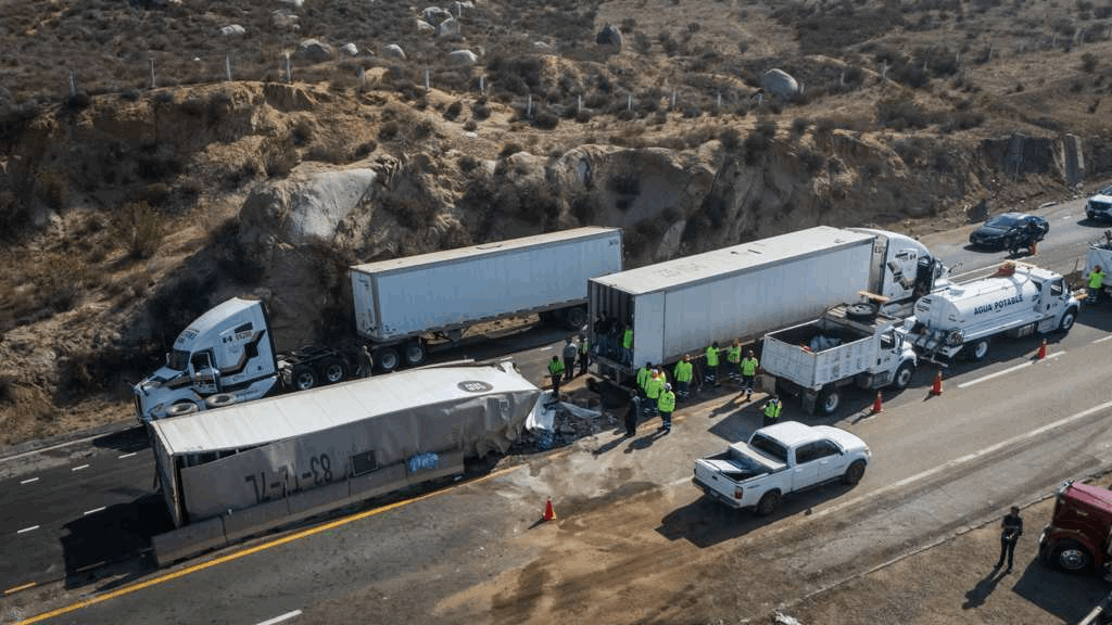 2e4e7814-13ac-4ae2-a8ec-e4e28d4a5ccc