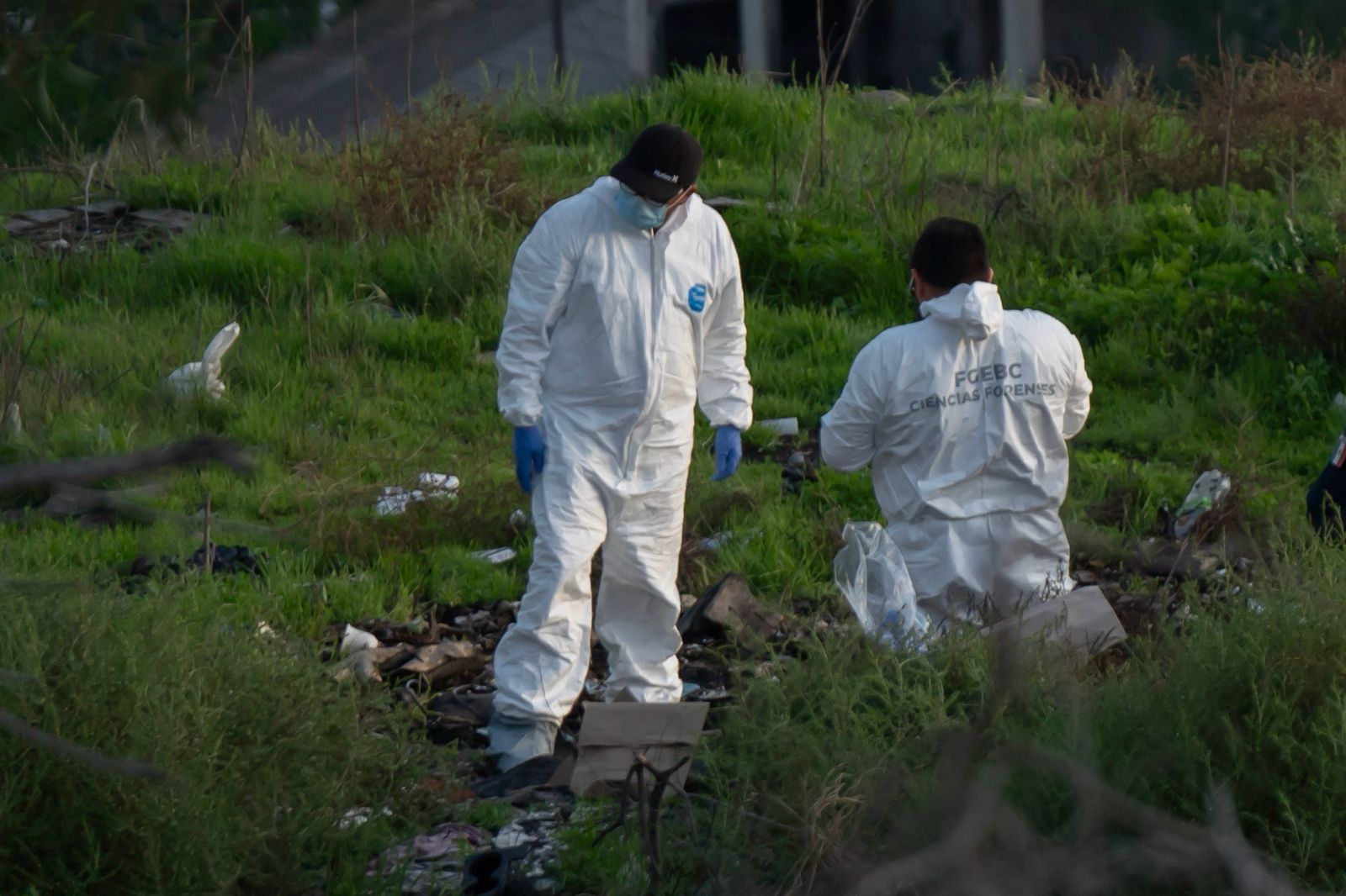 2f5ee50a-c7b5-4f4a-9679-d210309d857a