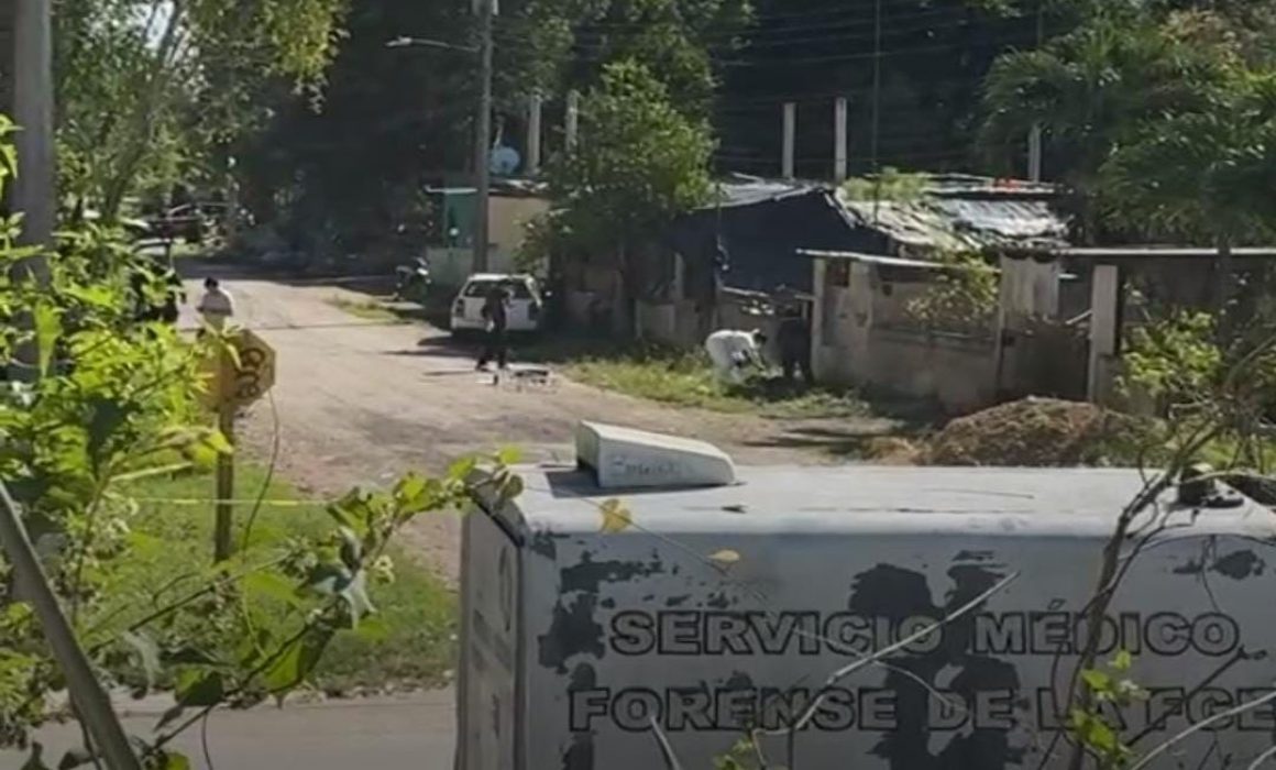 2f6234e5-cf97-4377-9dc0-ebfb666ed0b8